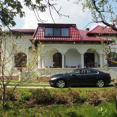 Argeselu Garden Villa-entire floor apartament, exclusive garden access Maracineni Buitenkant foto