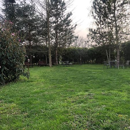 Argeselu Garden Villa-entire floor apartament, exclusive garden access Maracineni Buitenkant foto