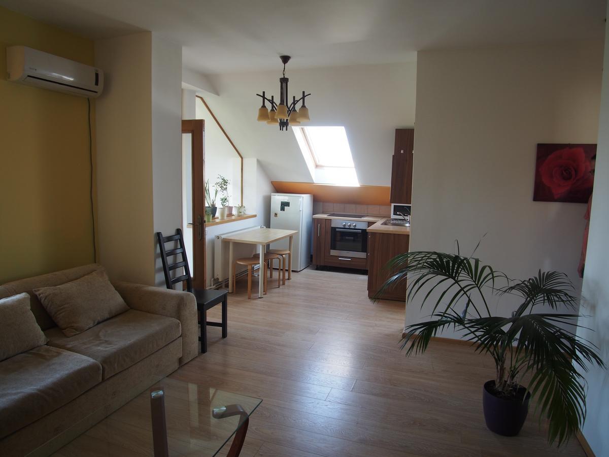 Argeselu Garden Villa-entire floor apartament, exclusive garden access Maracineni Kamer foto