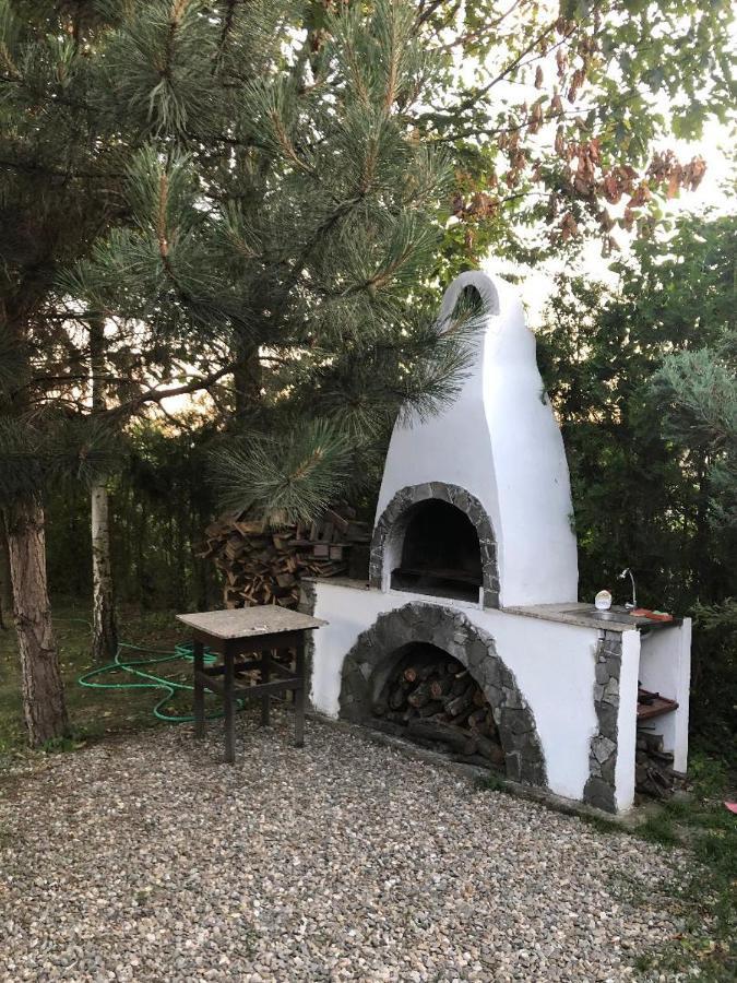 Argeselu Garden Villa-entire floor apartament, exclusive garden access Maracineni Buitenkant foto