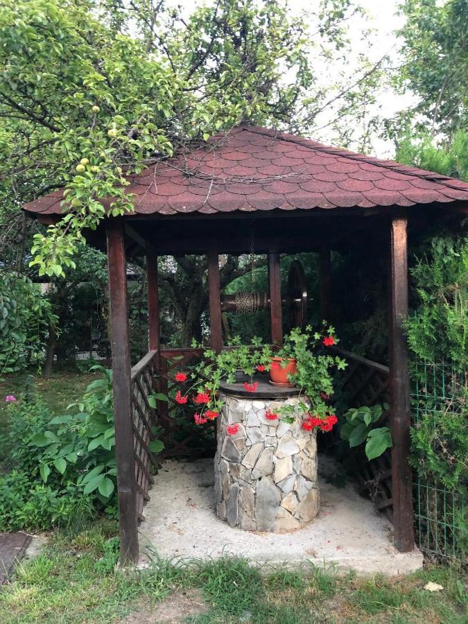 Argeselu Garden Villa-entire floor apartament, exclusive garden access Maracineni Buitenkant foto