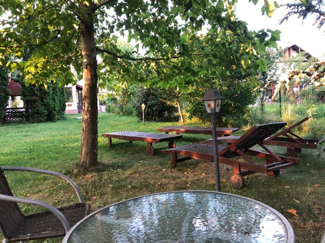 Argeselu Garden Villa-entire floor apartament, exclusive garden access Maracineni Buitenkant foto