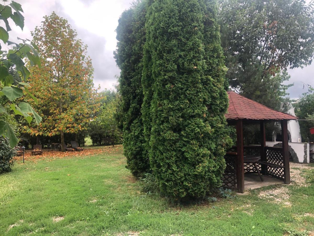 Argeselu Garden Villa-entire floor apartament, exclusive garden access Maracineni Buitenkant foto