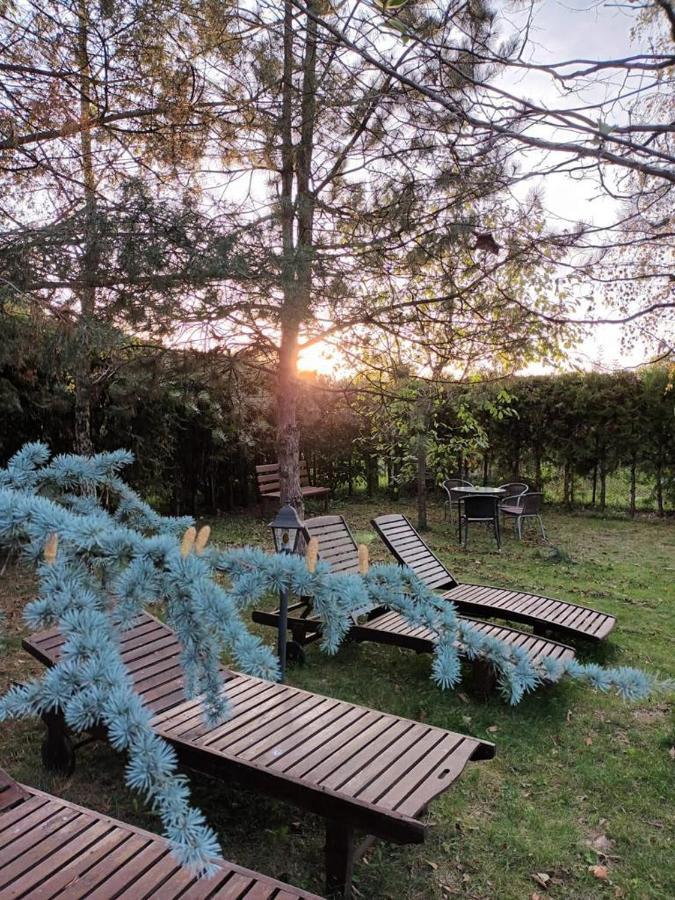 Argeselu Garden Villa-entire floor apartament, exclusive garden access Maracineni Buitenkant foto