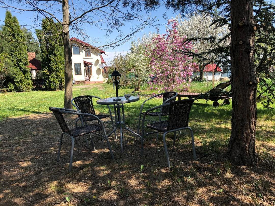 Argeselu Garden Villa-entire floor apartament, exclusive garden access Maracineni Buitenkant foto