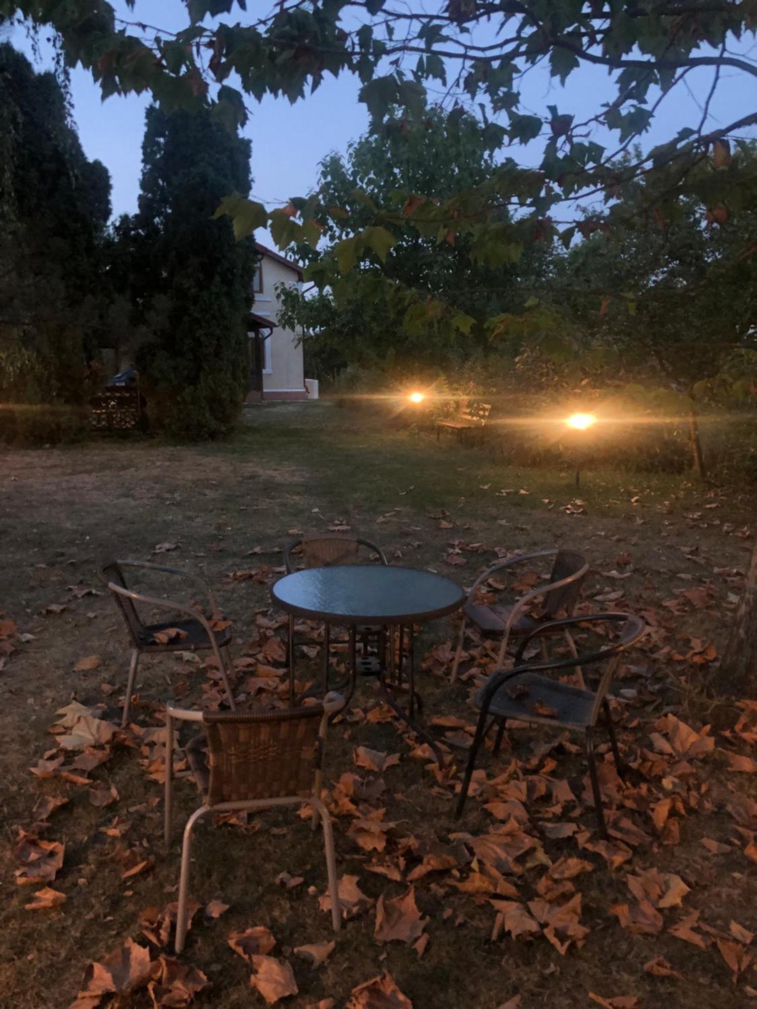 Argeselu Garden Villa-entire floor apartament, exclusive garden access Maracineni Buitenkant foto
