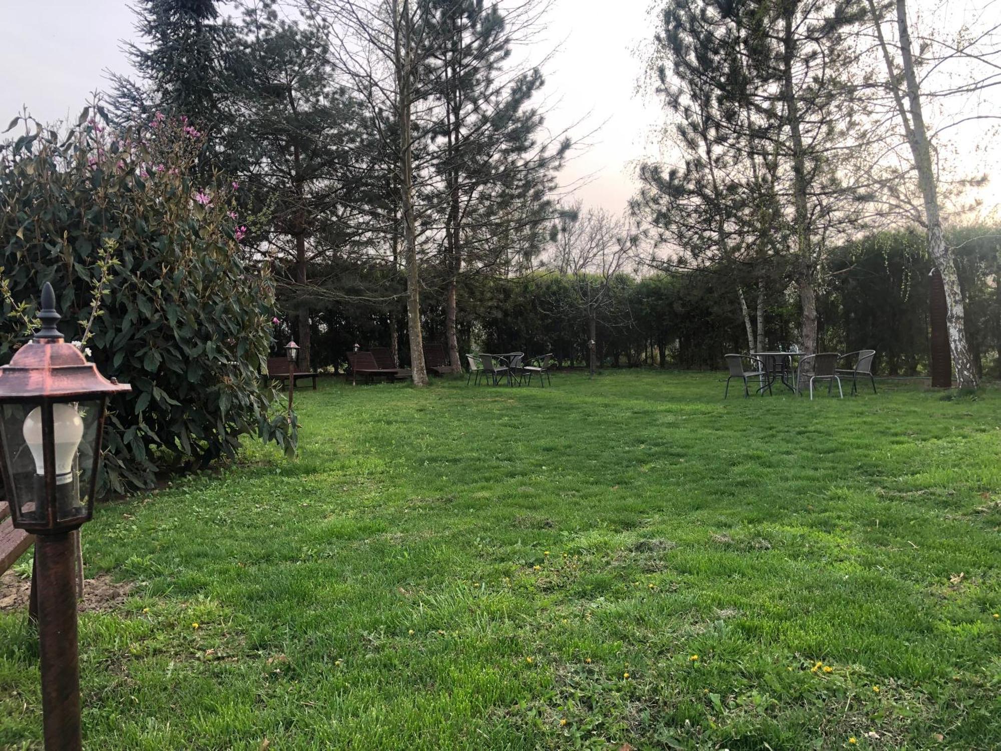 Argeselu Garden Villa-entire floor apartament, exclusive garden access Maracineni Buitenkant foto