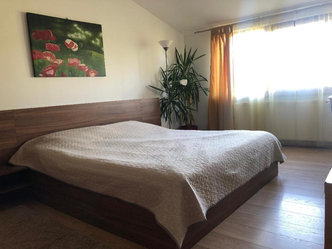 Argeselu Garden Villa-entire floor apartament, exclusive garden access Maracineni Buitenkant foto