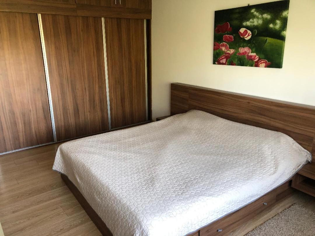 Argeselu Garden Villa-entire floor apartament, exclusive garden access Maracineni Buitenkant foto