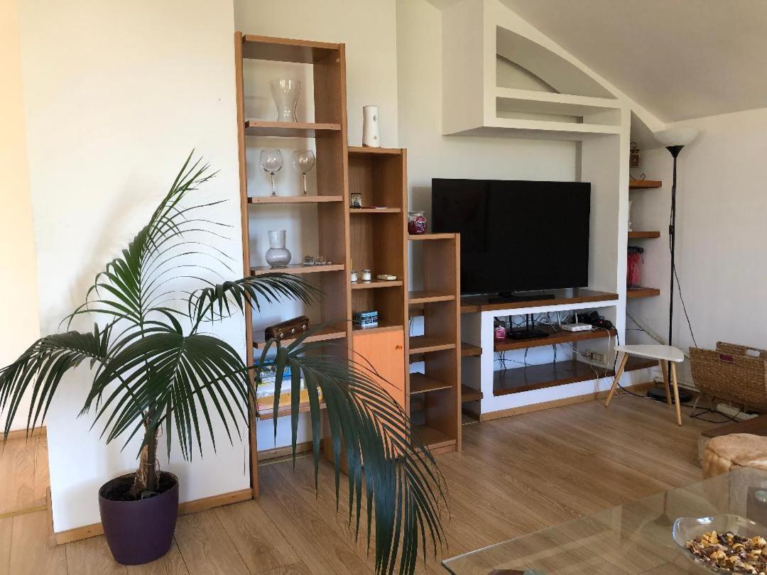 Argeselu Garden Villa-entire floor apartament, exclusive garden access Maracineni Buitenkant foto
