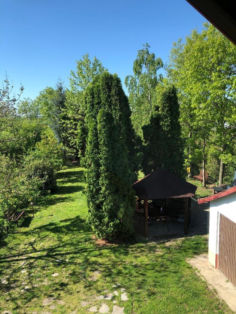 Argeselu Garden Villa-entire floor apartament, exclusive garden access Maracineni Buitenkant foto